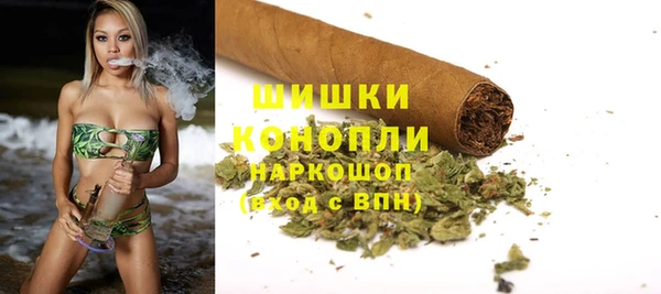 прущие грибы Куйбышев
