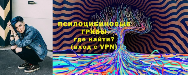 прущие грибы Куйбышев