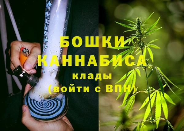 прущие грибы Куйбышев