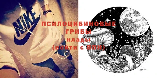 прущие грибы Куйбышев