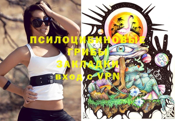 прущие грибы Куйбышев