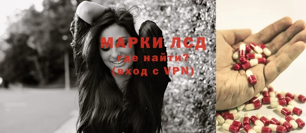 прущие грибы Куйбышев