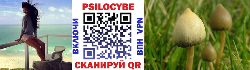 Галлюциногенные грибы GOLDEN TEACHER  где купить наркоту  Нефтекумск 