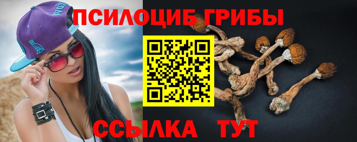 Галлюциногенные грибы GOLDEN TEACHER Нефтекумск